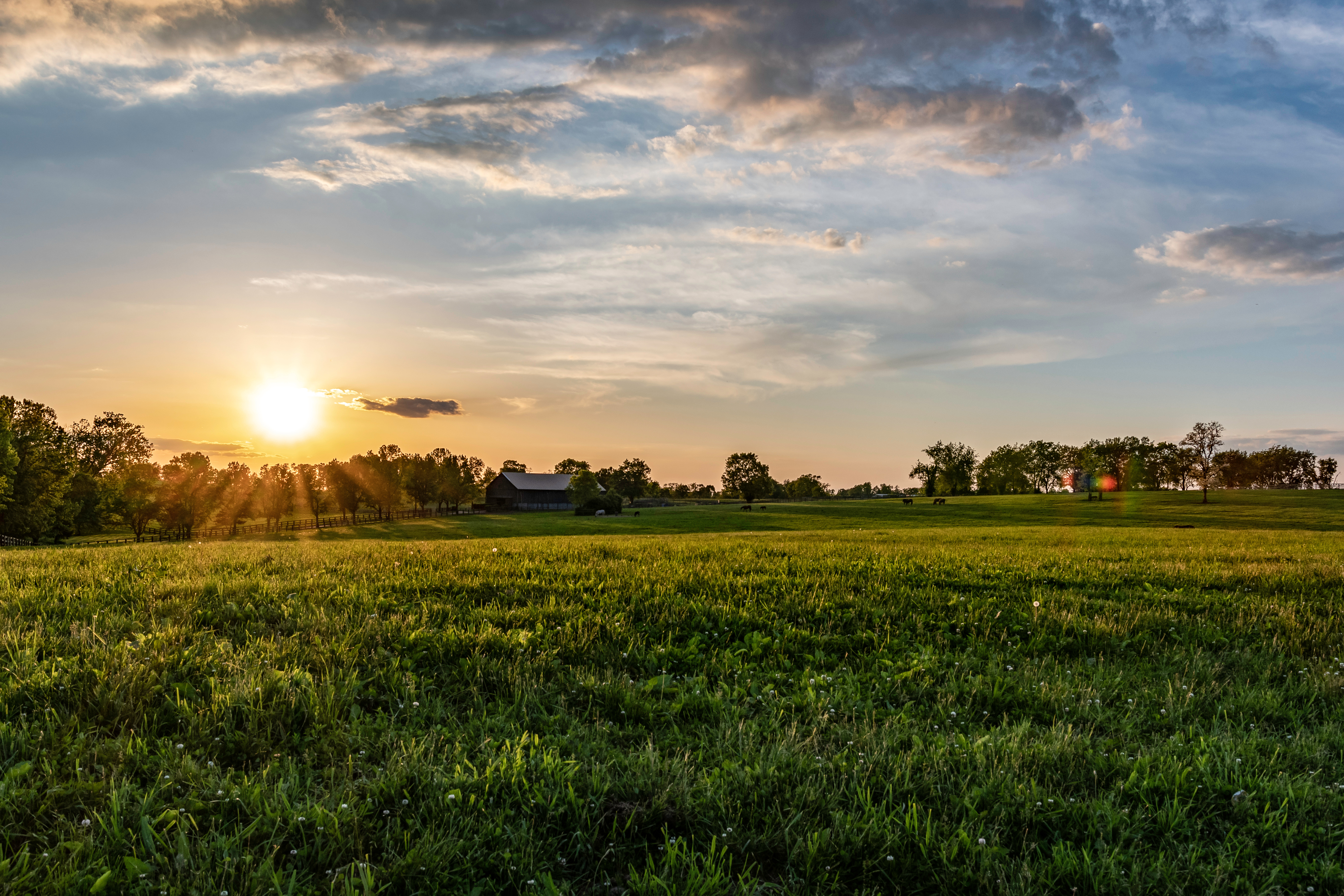 Kentucky field at sunset